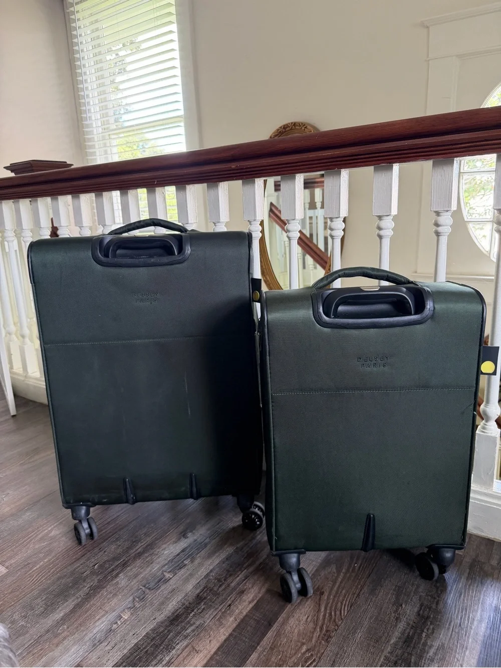 Delsey Paris Dark Green Medium Check-In and Carry-On Luggage